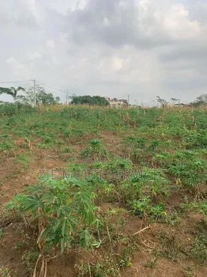 Photo - Terrain en Vente