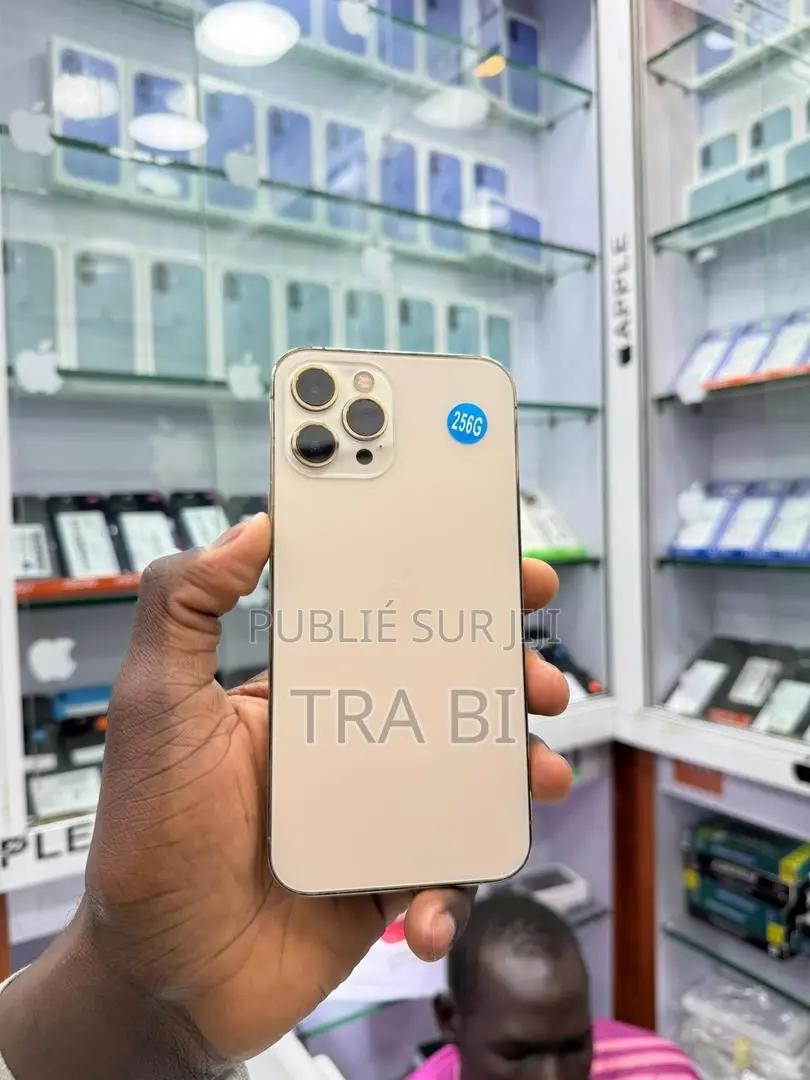 Pomme iPhone 12 Pro Max 256 GB Doré
