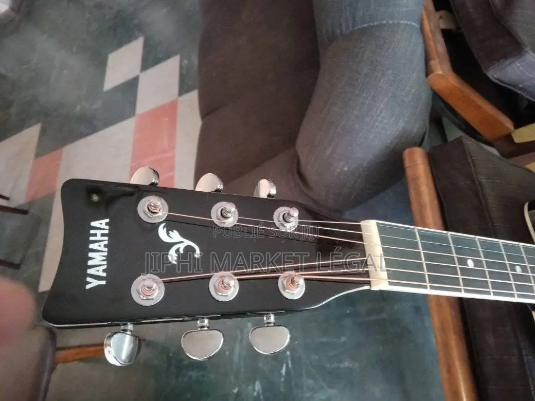 Guitare Acoustique Et Guitare Électron-Acoustique