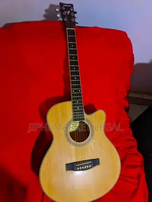 Guitare Acoustique Et Guitare Électron-Acoustique