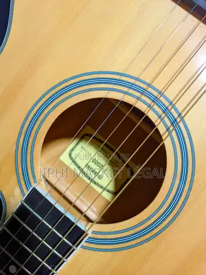 Guitare Acoustique Et Guitare Électron-Acoustique