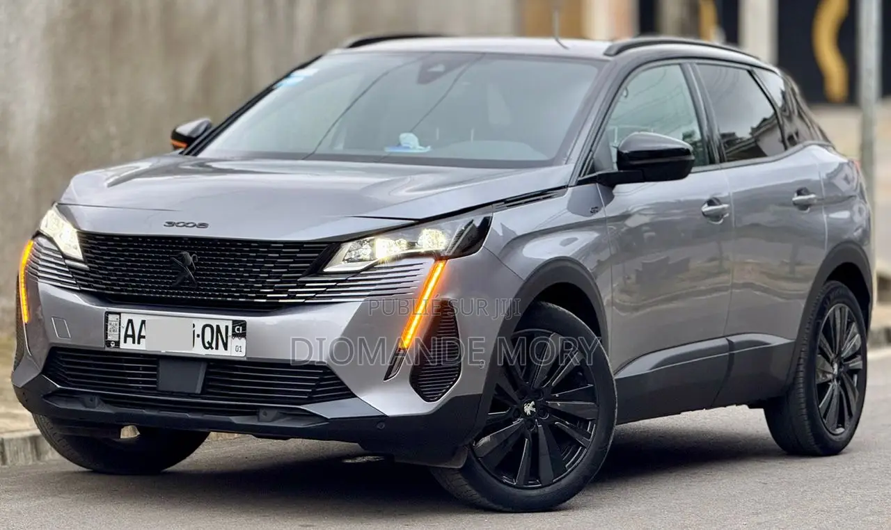 PEUGEOT 3008 2023 Gris