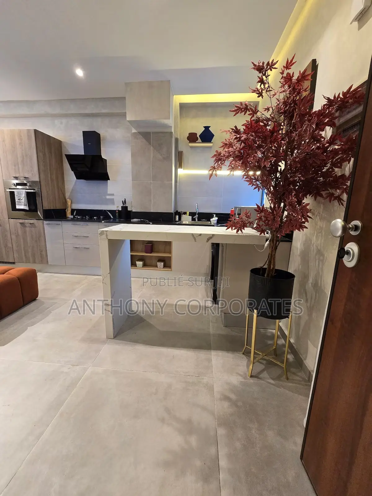 Studio Américain 2 Pièces Faya Genie 2000