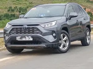 Toyota RAV4 XLE 2021 Gris
