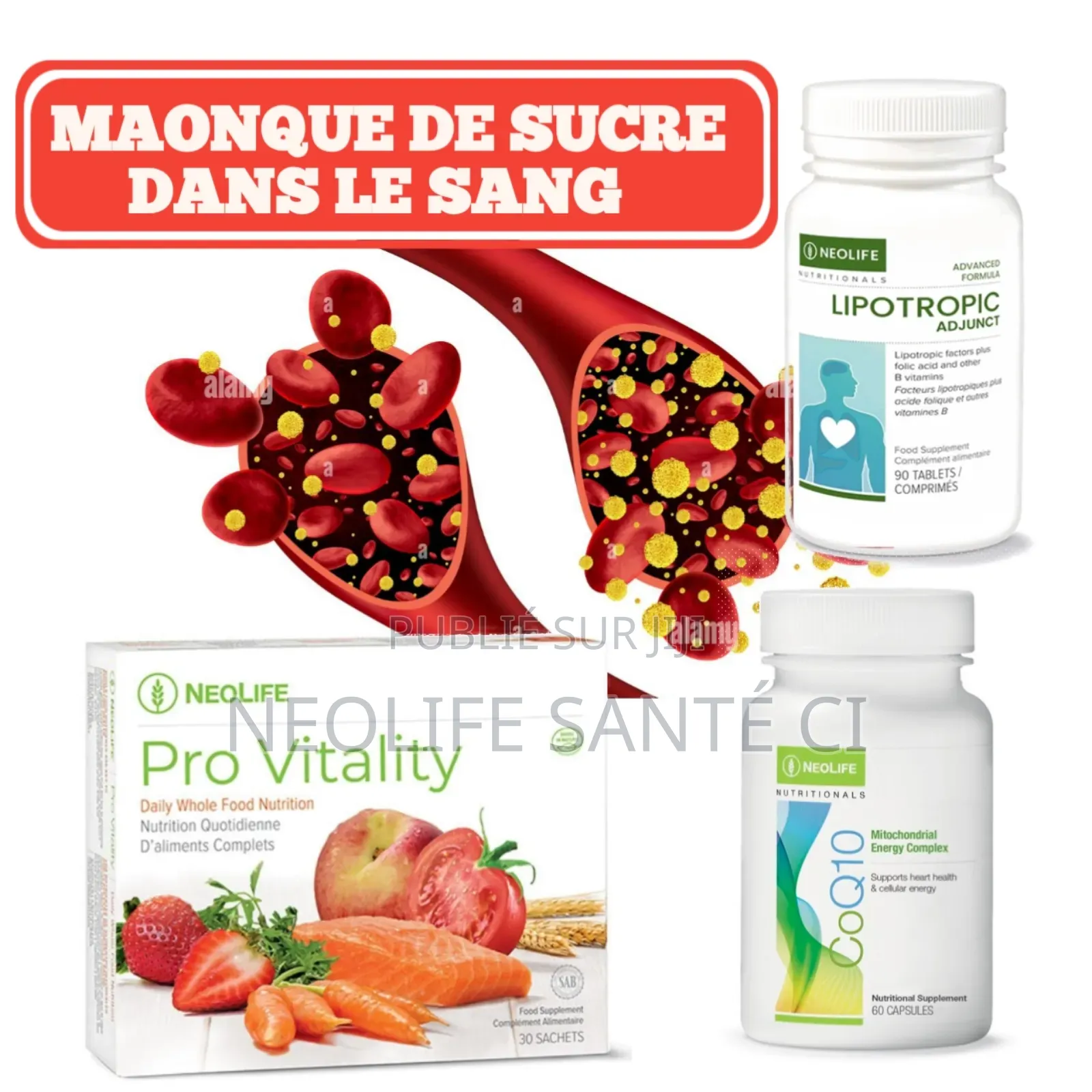 Manque De Sucre Dans Le Sang