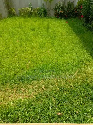 6chbre Villa dans Terrain Sotra, Cocody à Vendre