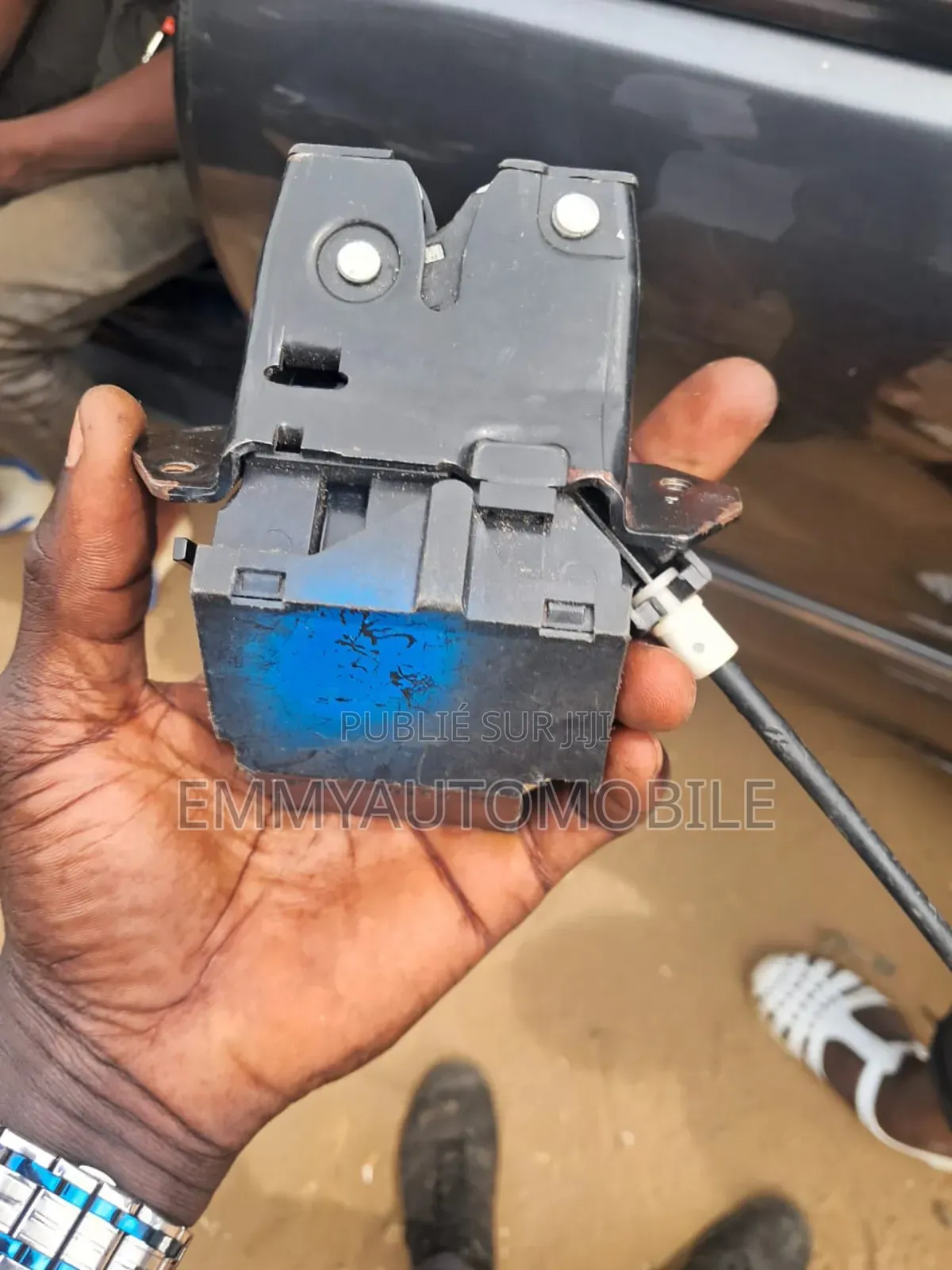 Cage De Coffeau C200