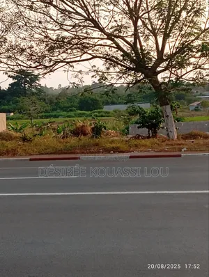 Photo - Vente De Terrain