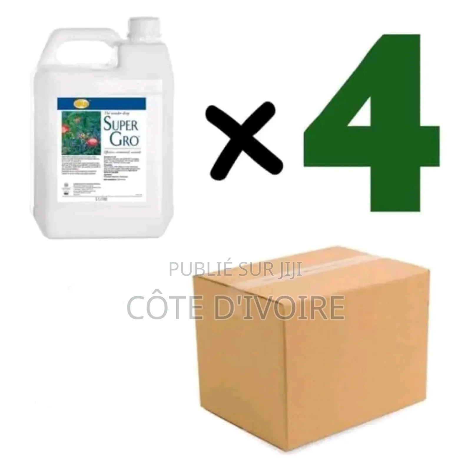 Super Gros ( 1 Carton)