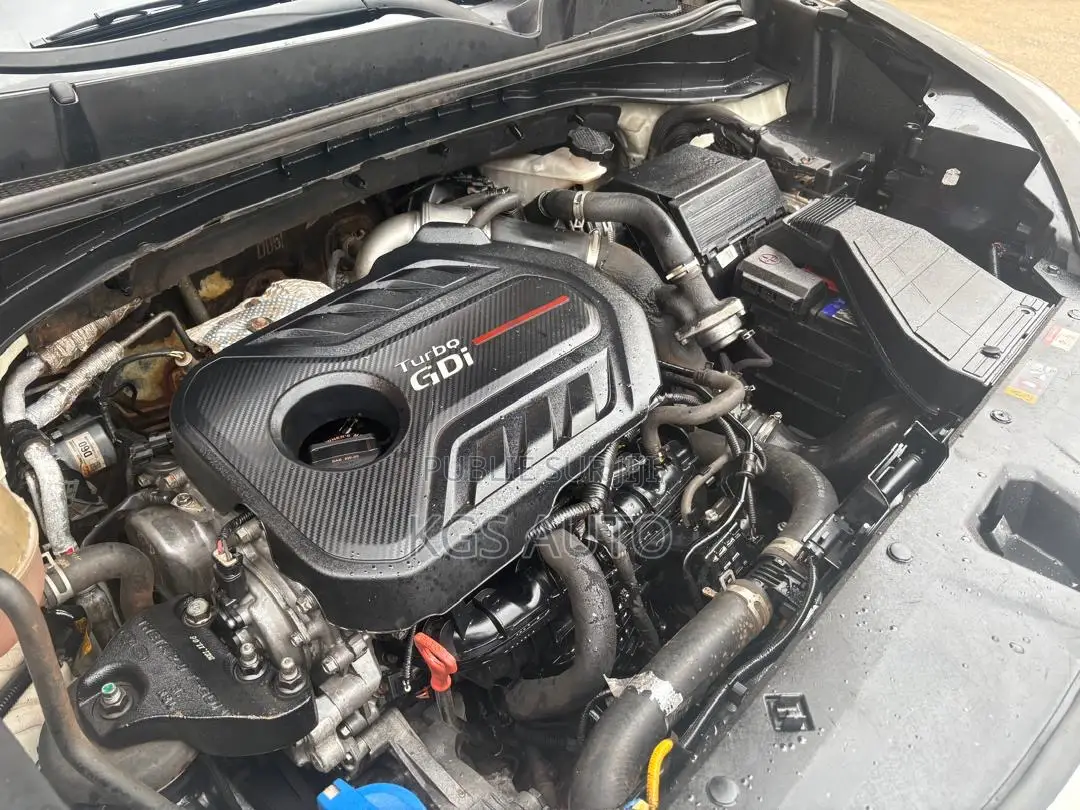 Kia Sportage EX 2023 Blanc