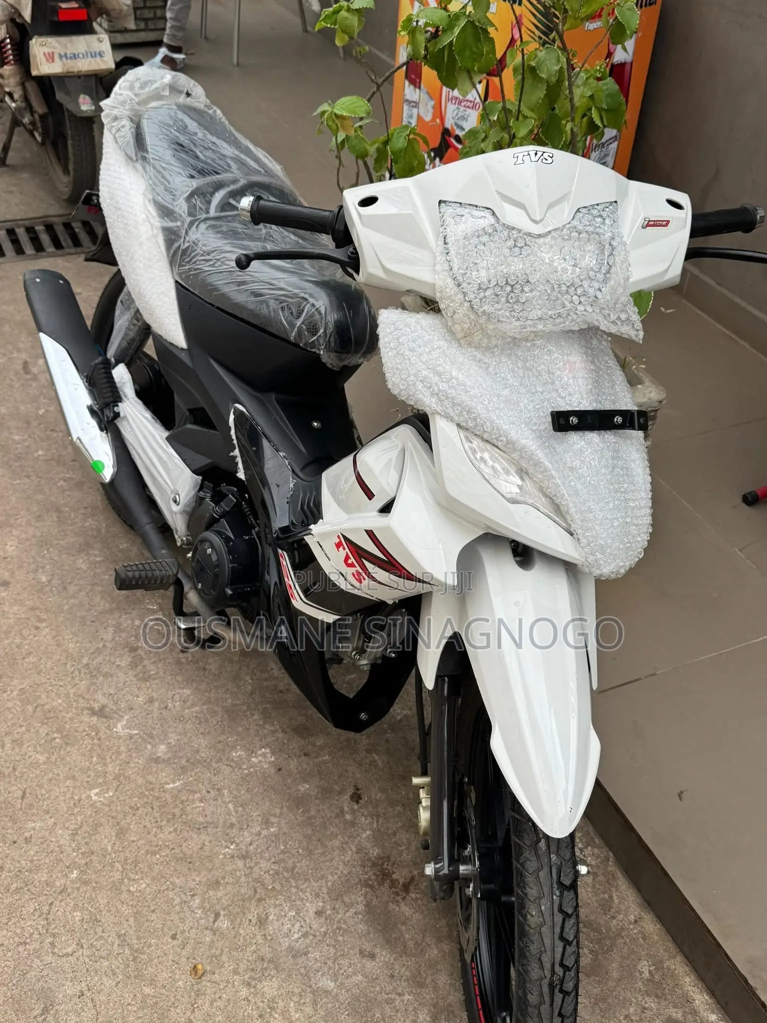 New TVS Autre 2024 Blanc