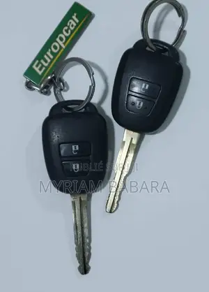 Toyota RAV4 2015 Gris