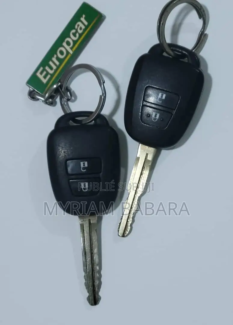 Toyota RAV4 2015 Gris