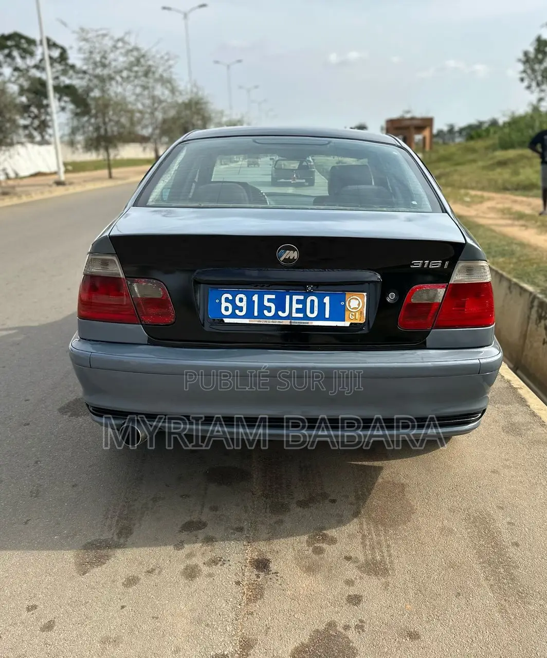 BMW 316i 2007 Gris