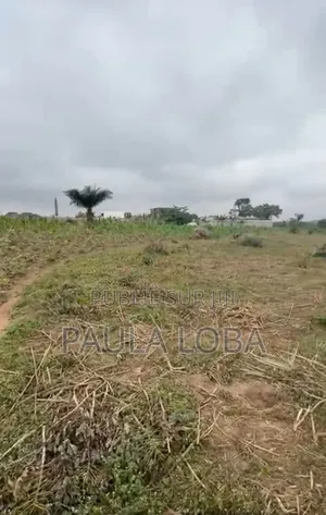 Photo - Vente De Terrain