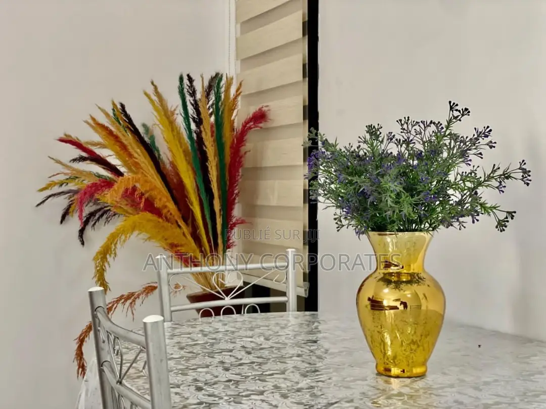 Appartement Meublé De 03 Pièces Angre CGK