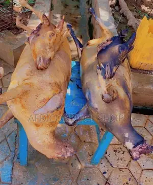 Photo - Viande De Cabri Du Sahel - 6500 Fcfa/Kg