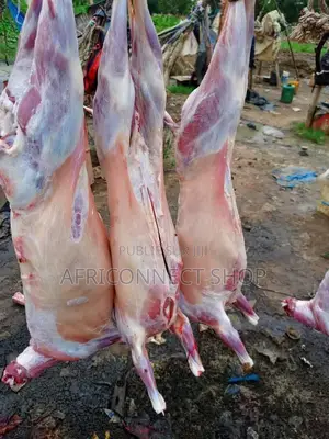 Photo - Mouton Entier - 14/16 Kg