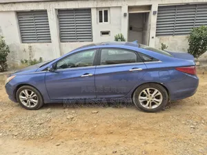 Hyundai Sonata 2009 Bleu
