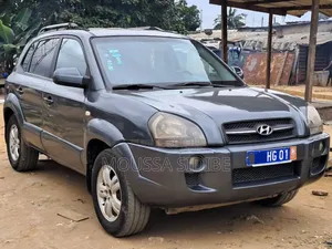 Hyundai Tucson 2004 Gris
