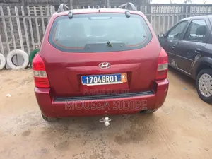 Photo - Hyundai Tucson 2004 Rouge
