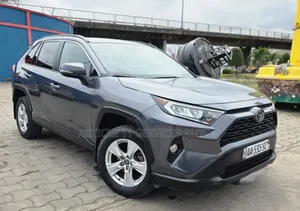 Toyota RAV4 XLE AWD 2020 Gris