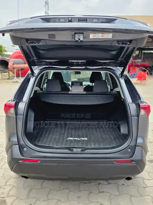 Toyota RAV4 XLE AWD 2020 Gris