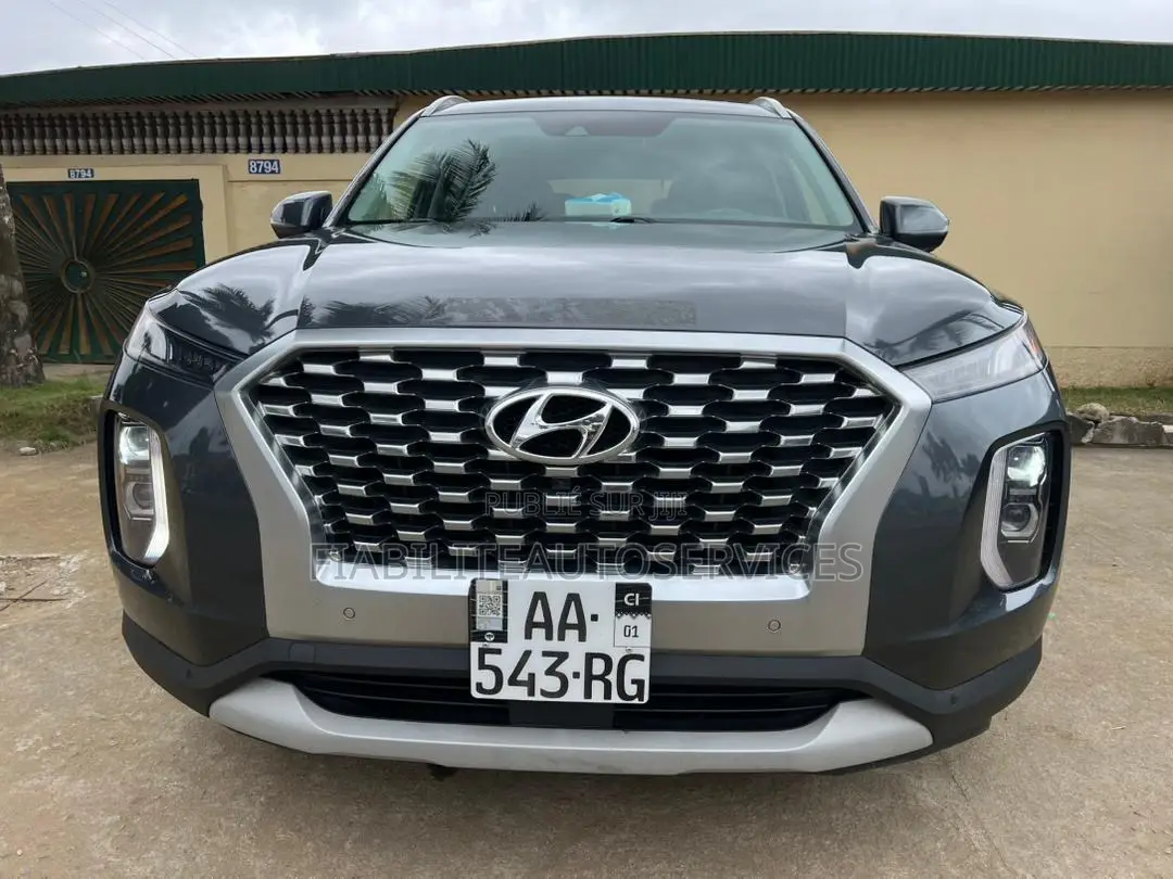 Hyundai Palissade Limited 2021 Gris