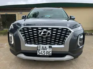 Photo - Hyundai Palissade Limited 2021 Gris