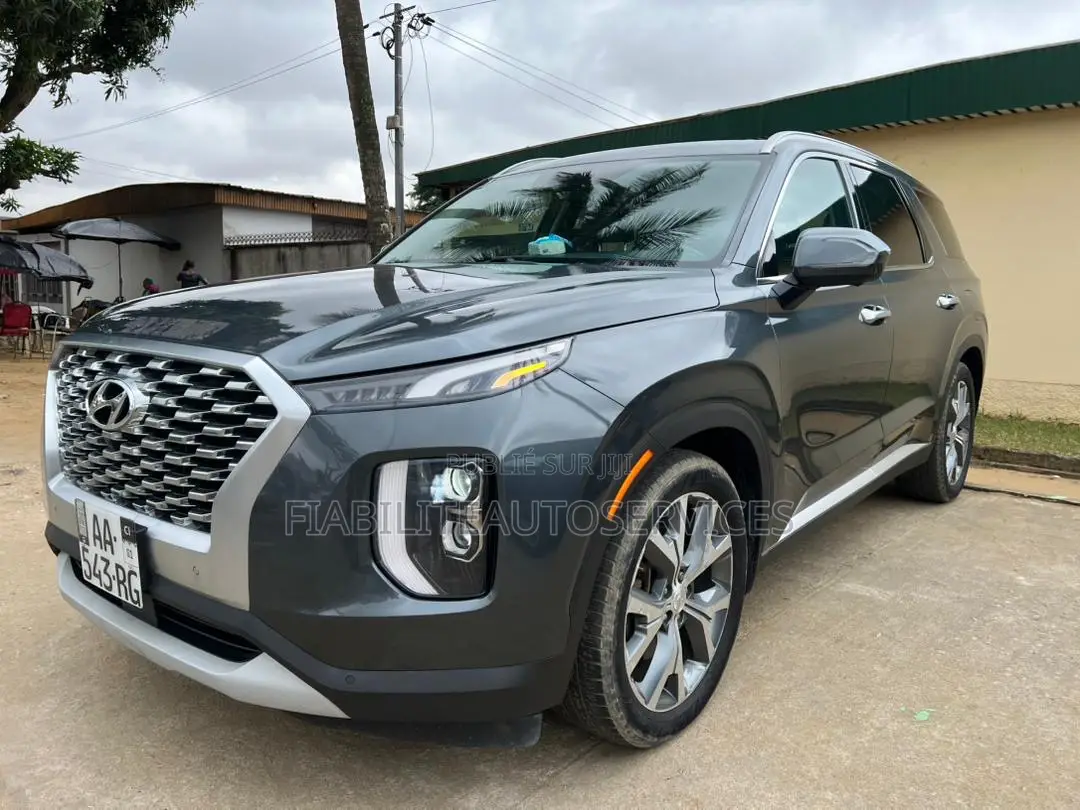 Hyundai Palissade Limited 2021 Gris
