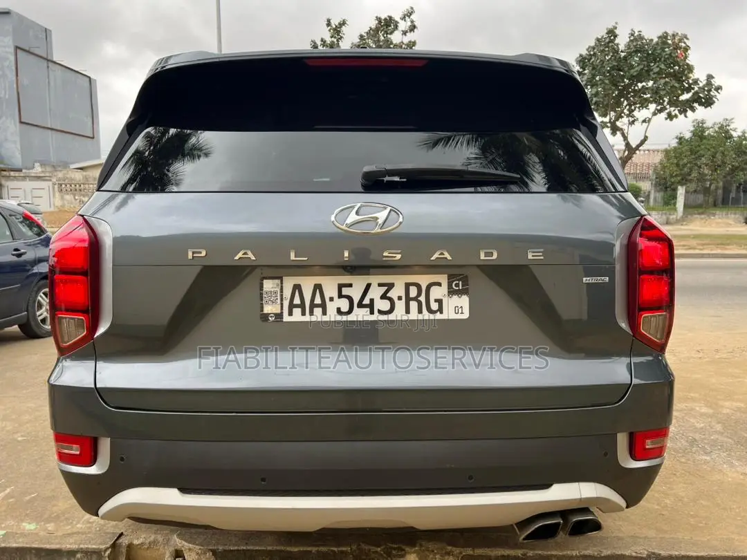 Hyundai Palissade Limited 2021 Gris