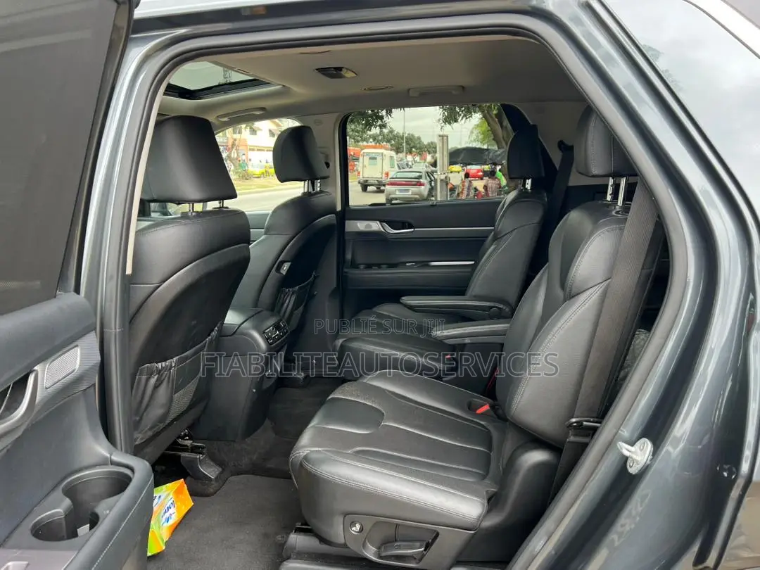 Hyundai Palissade Limited 2021 Gris