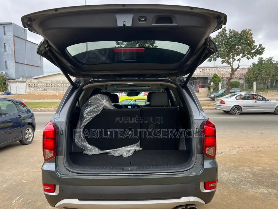 Hyundai Palissade Limited 2021 Gris