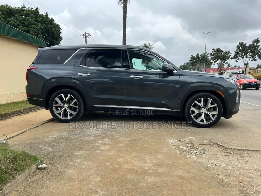 Hyundai Palissade Limited 2021 Gris
