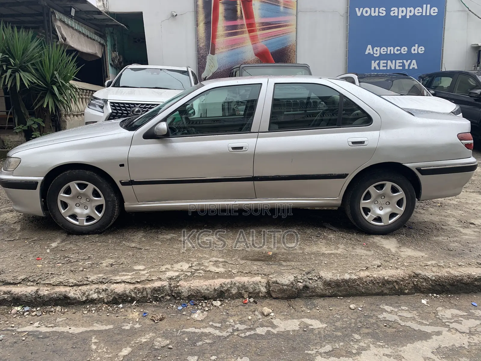 PEUGEOT 406 2001 Gris