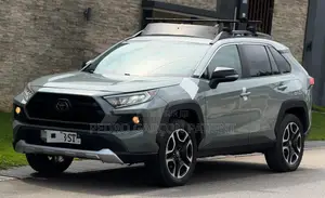 Toyota RAV4 2020 Gris
