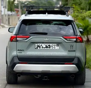 Toyota RAV4 2020 Gris