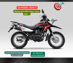 New Sonlink SL200GY-A 2024 Autre