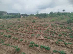 Urgent Rapide 2 Terrain l'Angle Colle
Un De 500 M2 Prix 27 Millions