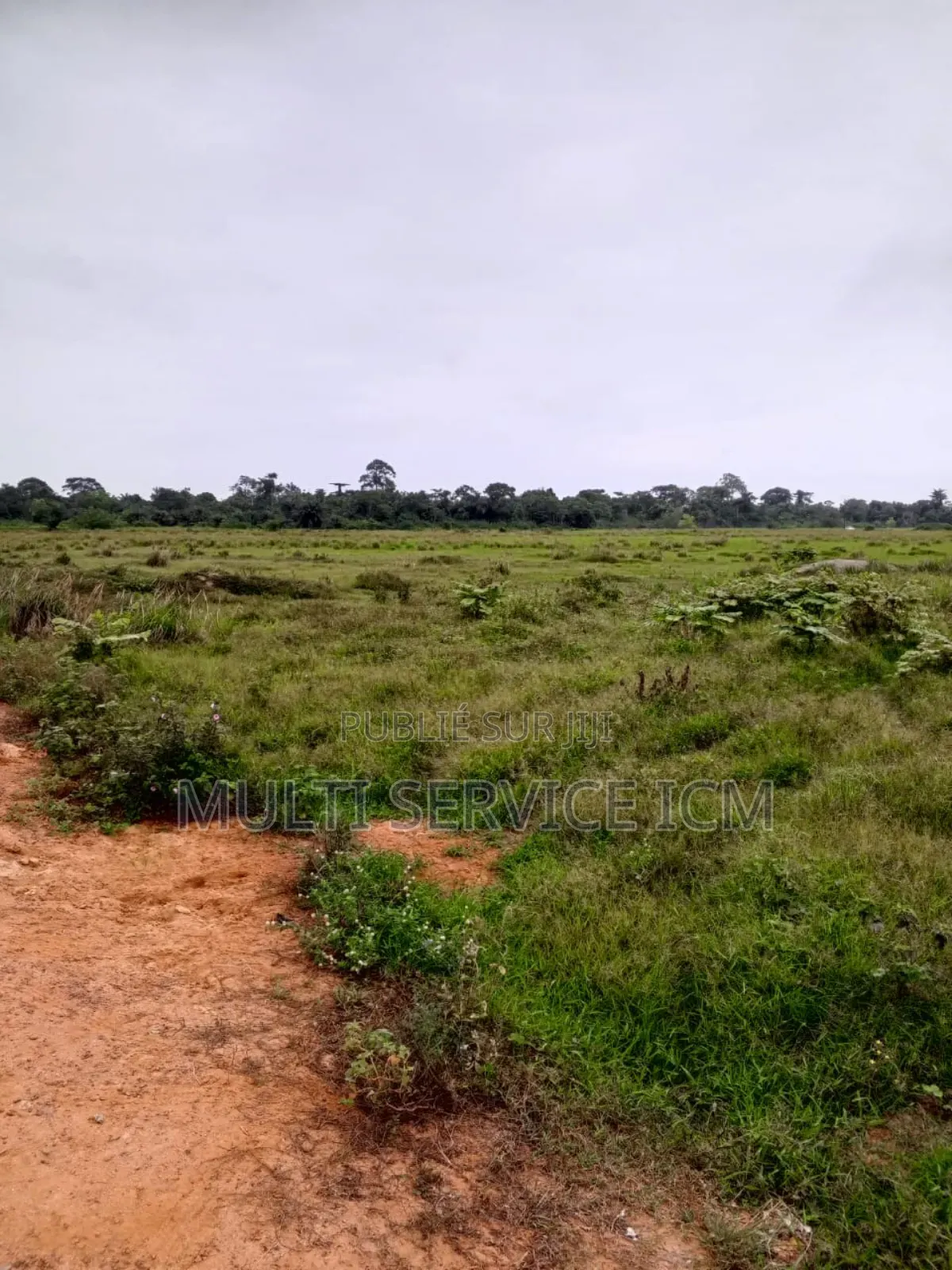 Urgent Rapide 2 Terrain l'Angle Colle
Un De 500 M2 Prix 27 Millions