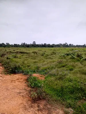 Urgent Rapide 2 Terrain l'Angle Colle
Un De 500 M2 Prix 27 Millions