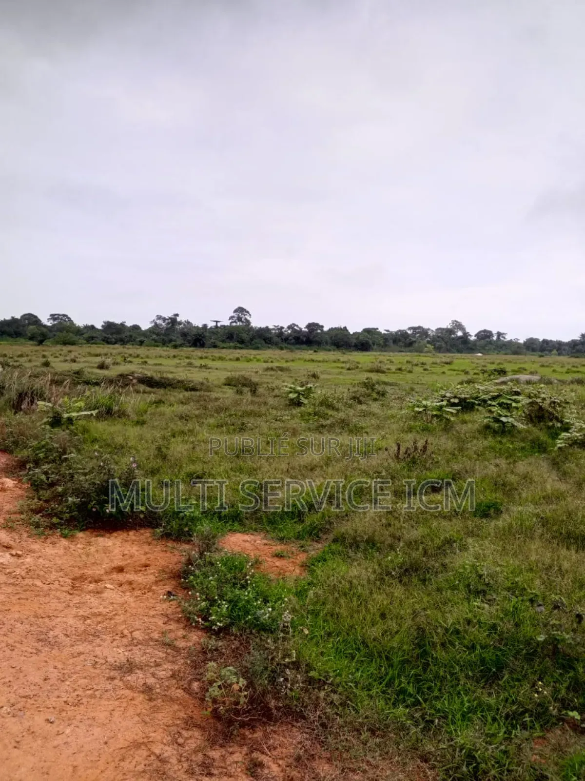 Urgent Rapide 2 Terrain l'Angle Colle
Un De 500 M2 Prix 27 Millions