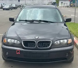 Photo - BMW 318ti 2002 Bleu