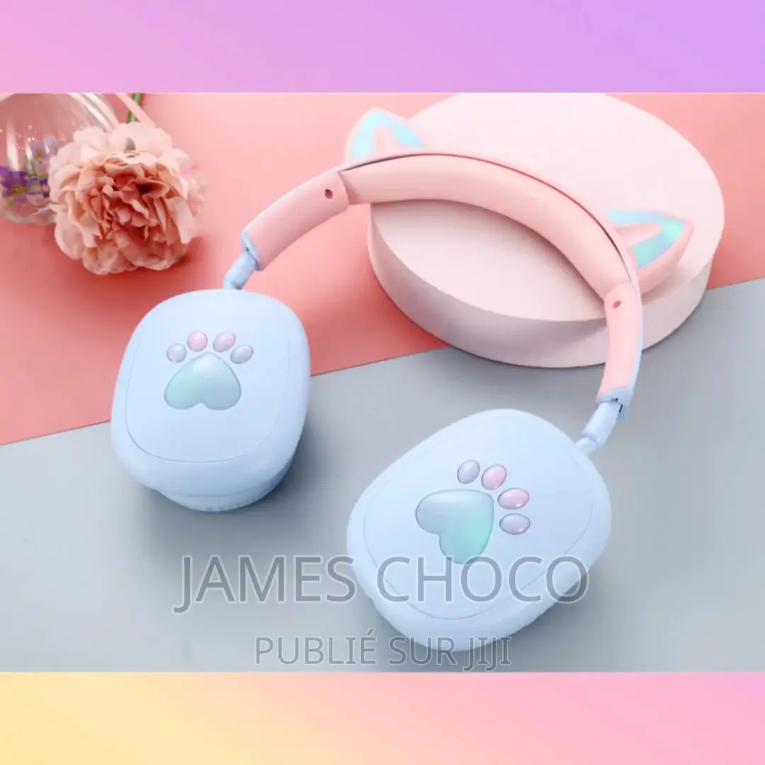 Casque Sans FIL P47M Cat