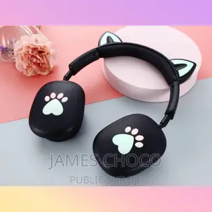 Casque Sans FIL P47M Cat