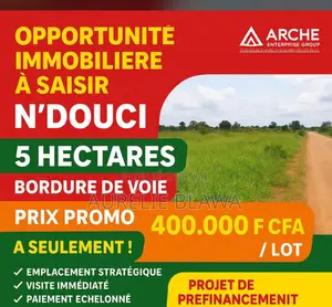 Photo - Terrain en Vente a Ndouci