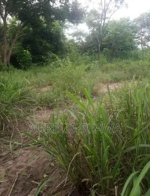Photo - Terrain en Vente a Ndouci