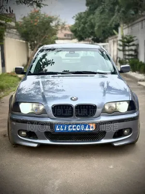 BMW 3 Series 316i RWD 2005 Gris