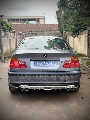 BMW 3 Series 316i RWD 2005 Gris