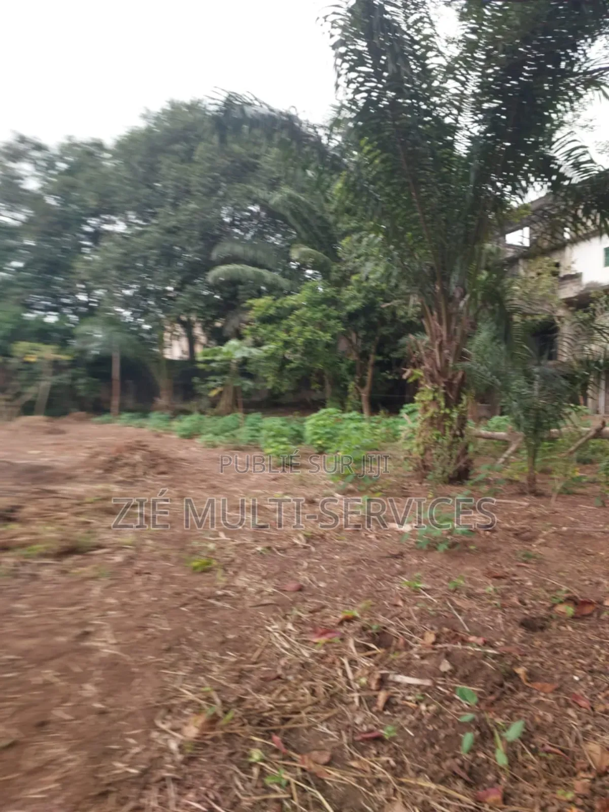 19chbre Duplex dans Zié Multi-Service, Cocody à Vendre